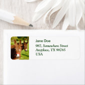 Donkeys Etiket (Insitu)