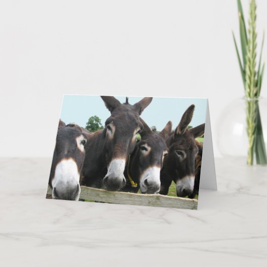 Donkeys Kaart (Voorkant)