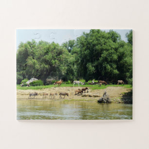 Donkeys Legpuzzel