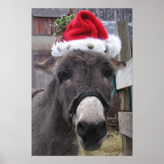 "Donkeys maken geweldige Santas!" Poster (Voorkant)