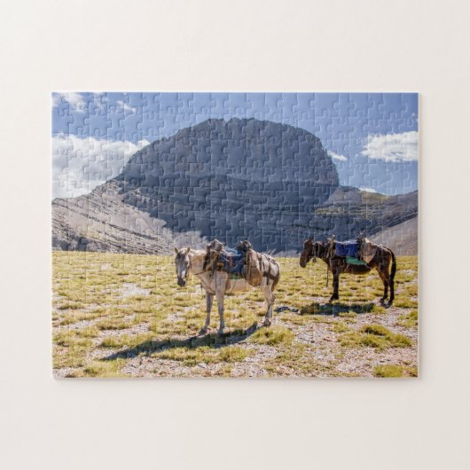 Donkeys op Mt. Olympus, Griekenland Legpuzzel (Horizontaal)