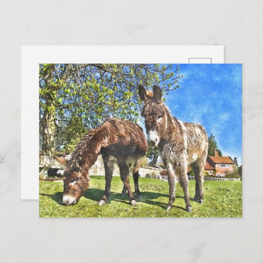 Donkeys Waterverf-stijl Briefkaart (Voorkant / Achterkant)