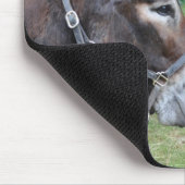 Donkeyvrienden Muismat (Hoek)