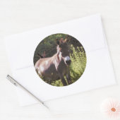 Donkoenen in pasta ronde sticker (Envelop)