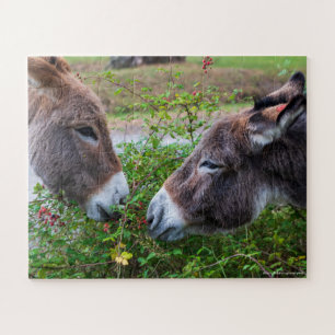 Donkoenen, kinderen, 56 stuks, legpuzzel
