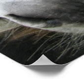 Donkoenen! Poster (Hoek)