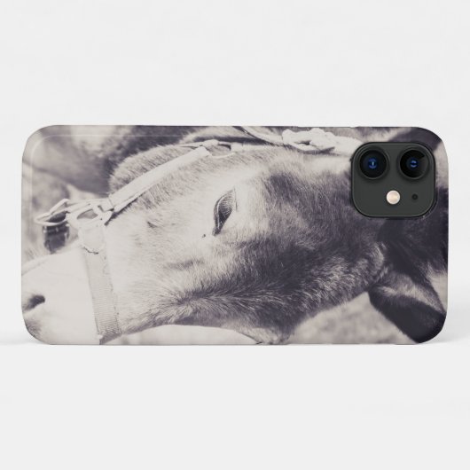 Donkophoofd 001 Case-Mate iPhone case (Achterkant (horizontaal))