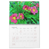 Donna's Garden 2007 Kalender (Feb 2027)