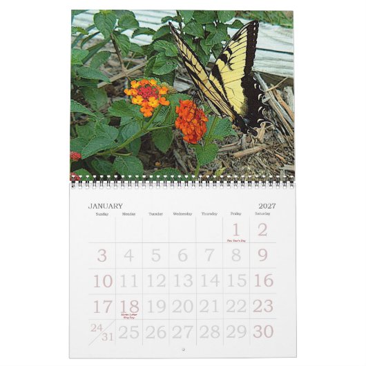 Donna's Garden 2007 Kalender (Jan 2027)