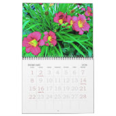 Donna's Garden 2007 Kalender (Feb 2026)