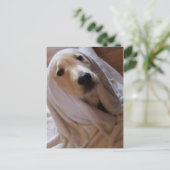 données dans la carte postale serviette (Debout devant)