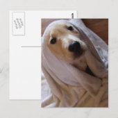 données dans la carte postale serviette (Devant / Derrière)