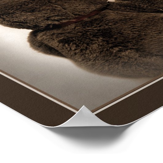 DONNER UN GROS POSTER À QUELQU'UN (Coin)