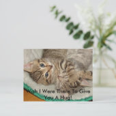 Donner Une Carte Postale Hug Kitty (Debout devant)