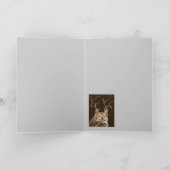 Donnez la carte de hibou (Intérieur)