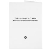 Donnez-moi un grand baiser - Chat Valentine's Day (Dos)