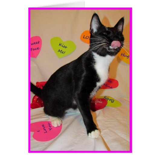 Donnez-moi un grand baiser - Chat Valentine's Day (Devant)