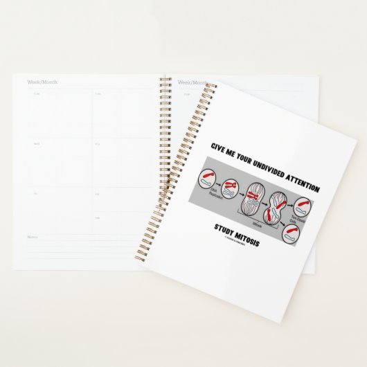 Donnez-moi votre attention entière étude Mitose (Devant avec enveloppe)