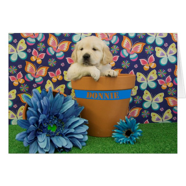 Donnie, foto van week 5 (Voorkant Horizontaal)