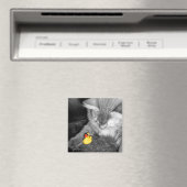 'Don't Feed the Cat' Rubberen eendenmagneet Magneet (Insitu (Vaatwasser))