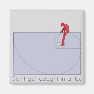 Don't get caught in a fib magneet