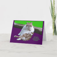 Don't have a cat-i-tude on your 80th Birthday!