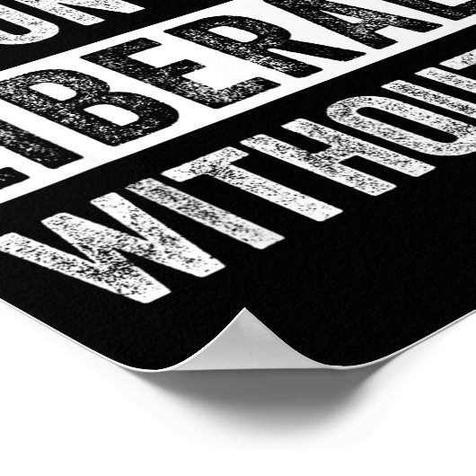 Don't Make Fun Of Liberals Without Me Poster (Hoek)