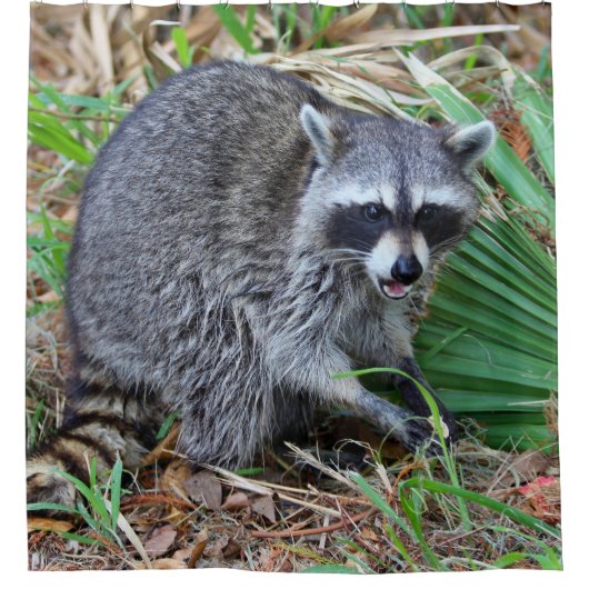 Don't Mind Me, Just Passing Through Douchegordijn (Voorkant)