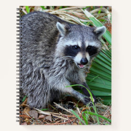 Don't Mind Me, Just Passing Through Notitieboek