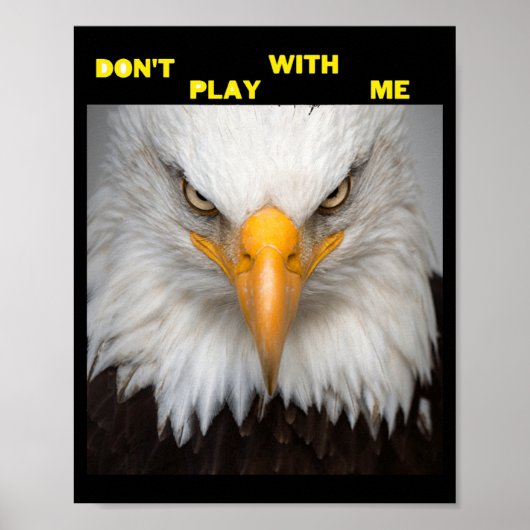 Dont Play With Angry Eagle  Poster (Voorkant)