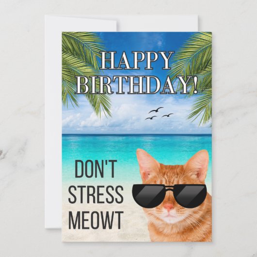 Dont Stress Meowt Grappige Tabby Kat Gelukkige Ver (Voorkant)