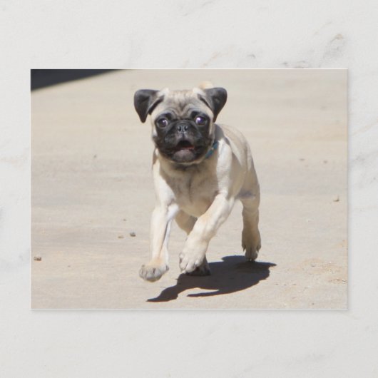 Doobie Runnin Briefkaart (Voorkant)