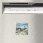 Dood hout in de Pacifische magneet (Insitu (Vaatwasser))