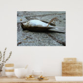 Dood Poster (Keuken)