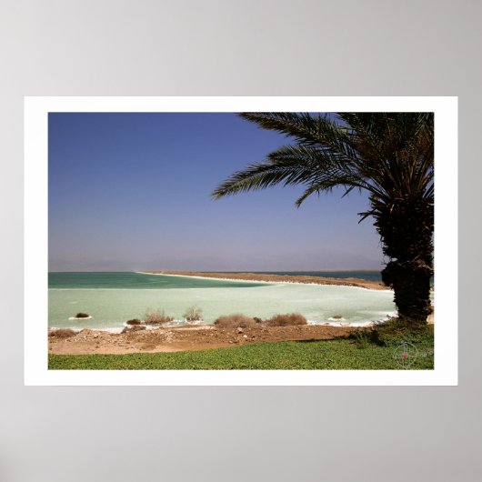 Dood Zee Poster (Voorkant)