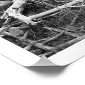 Doodboom, zwart en wit afdrukken poster (Hoek)