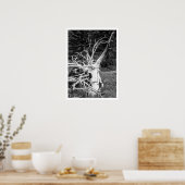 Doodboom, zwart en wit afdrukken poster (Keuken)