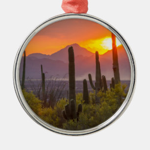 Doodcactus sunset, Arizona Metalen Ornament