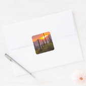 Doodcactus sunset, Arizona Vierkante Sticker (Envelop)