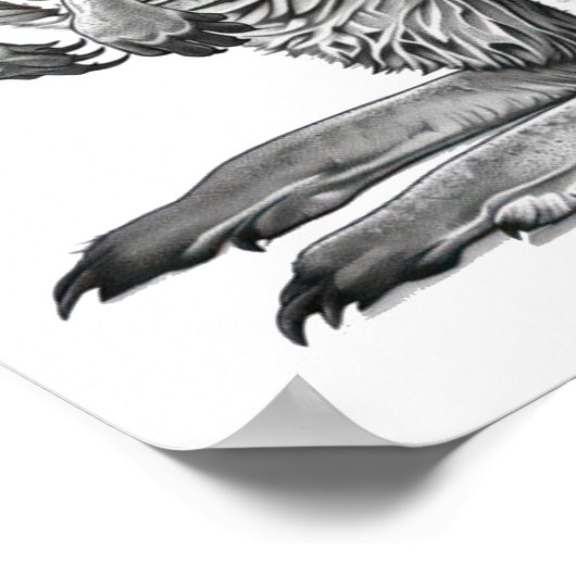 Doodle art Kangaroo Poster (Hoek)