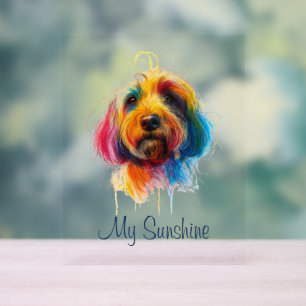 Doodle coloré