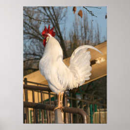 "Doodle Do", Bantam Rooster Poster