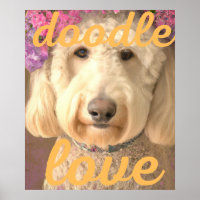 Doodle-liefdeshond