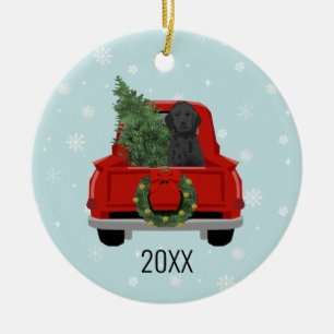 Doodle noir Chien Rouge Ornement de camion de Noël