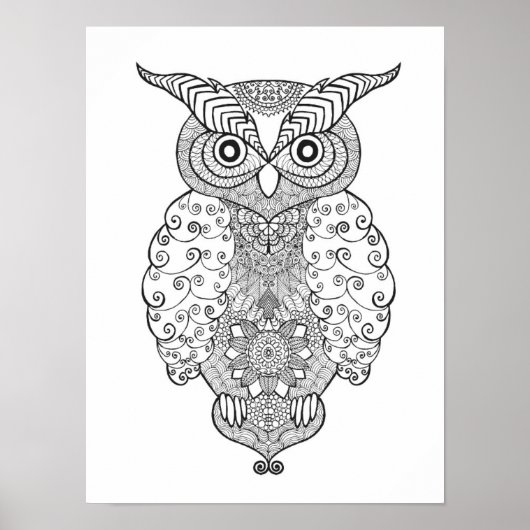 Doodle Owl 2 Poster (Voorkant)