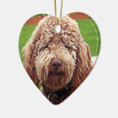 Doodle Painting Heart Ornament (Links)