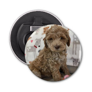 **DOODLE PUPPY* FLES OPENER