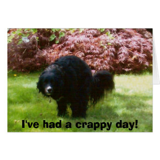 doodles, j'ai eu une journée merdique !