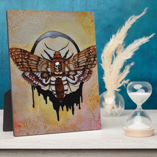 Doodse Hawk Moth Fotoplaat (Zijkant)