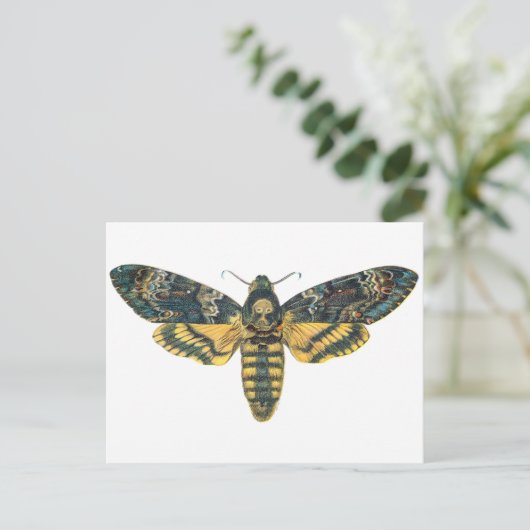 Doodse Hawk Moth, Large Moth, Moth Print Briefkaart (Staand voorkant)